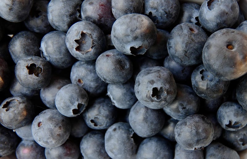 Fresh blueberries